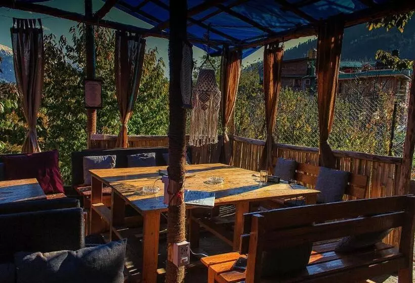 ユースホステル Yolo Backpackers   Manali