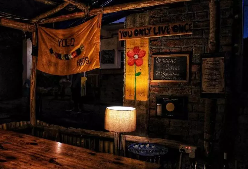 ユースホステル Yolo Backpackers   Manali