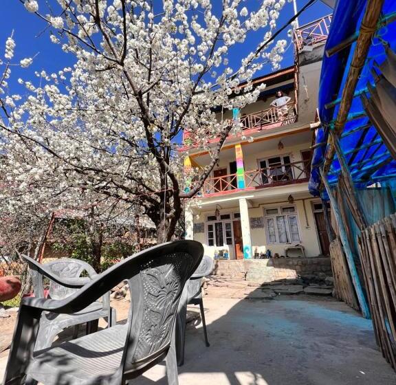 ユースホステル Yolo Backpackers   Manali