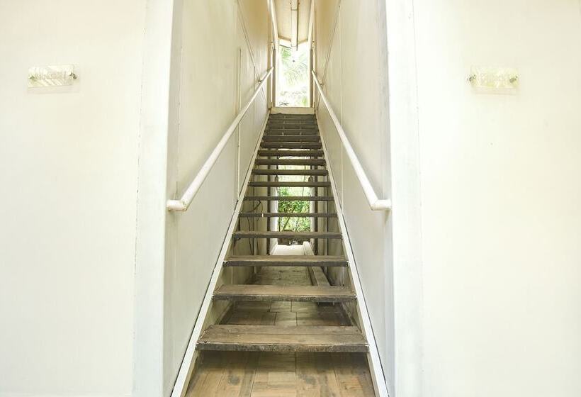 Fabhotel La Volga   Nr Morjim Beach