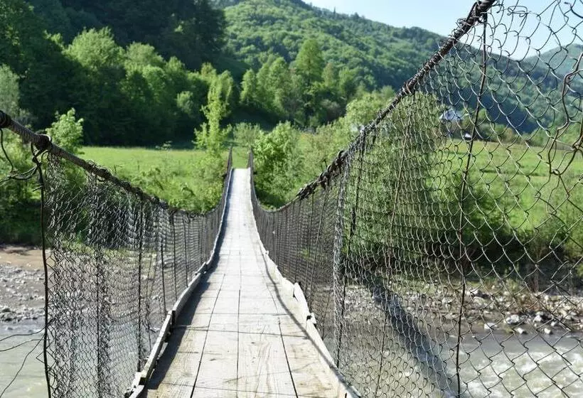 Hotelli готель довбуш