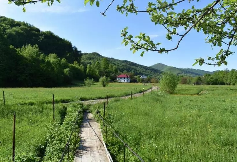 Hotelli готель довбуш