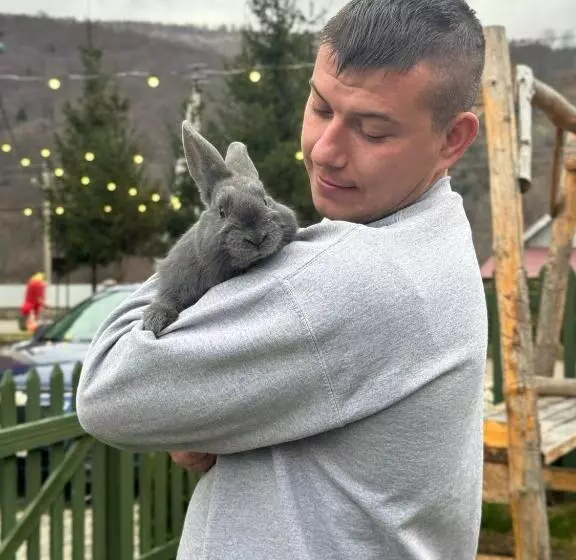 Hotelli готель довбуш