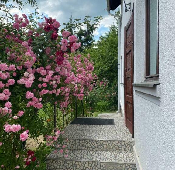 بنسيون Casa Bucataria Fonix