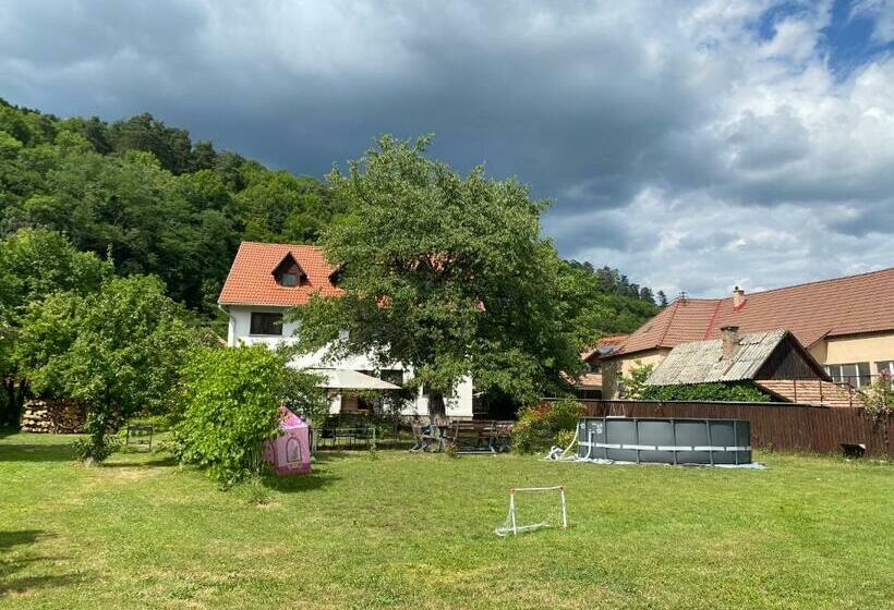 بنسيون Casa Bucataria Fonix