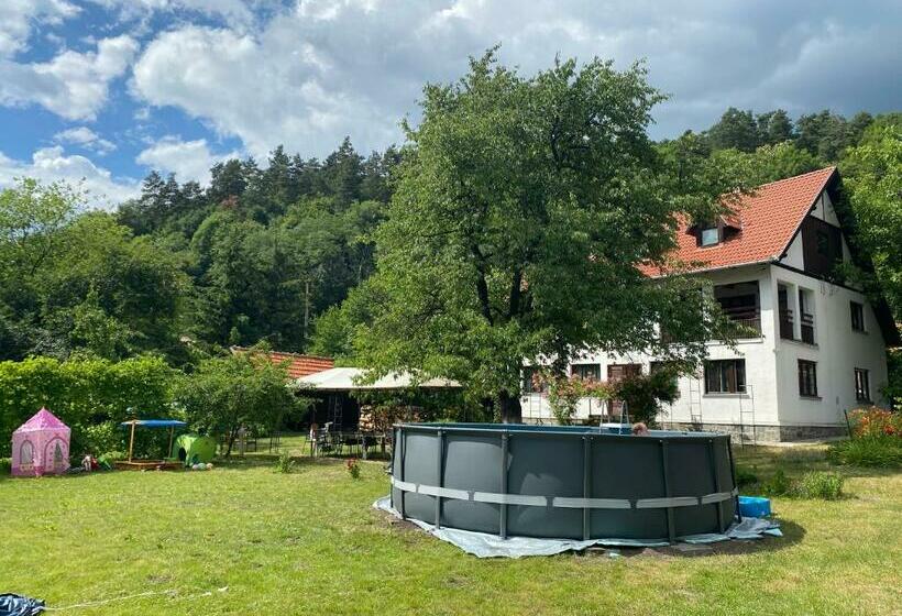 بنسيون Casa Bucataria Fonix