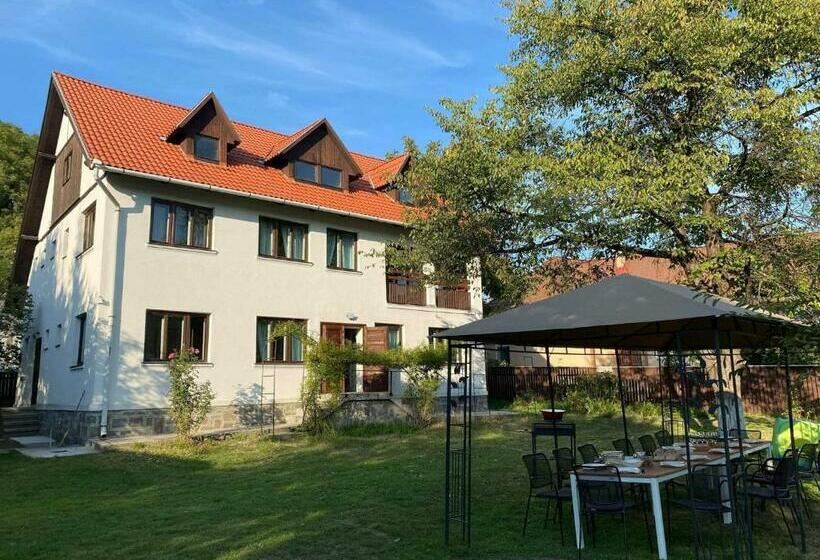 بنسيون Casa Bucataria Fonix