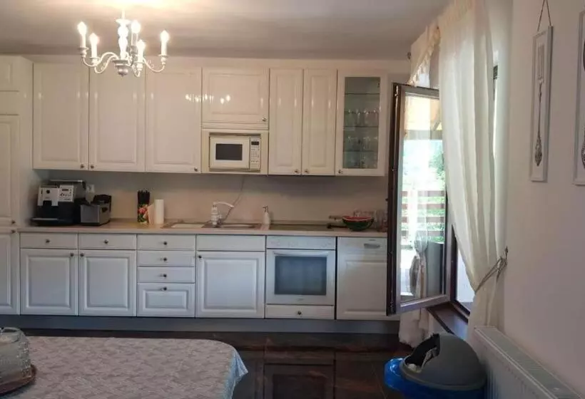 ペンション Casa Davideea