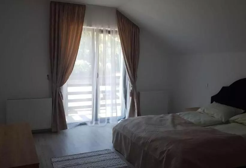 ペンション Casa Davideea