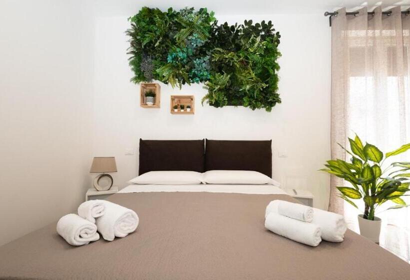 פנסיון Suebi Rooms