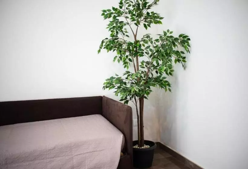 پانسیون Suebi Rooms