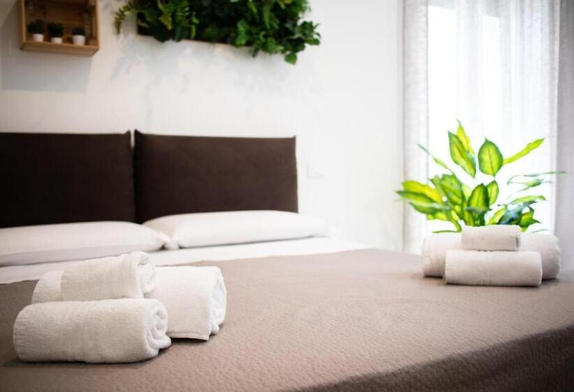 פנסיון Suebi Rooms