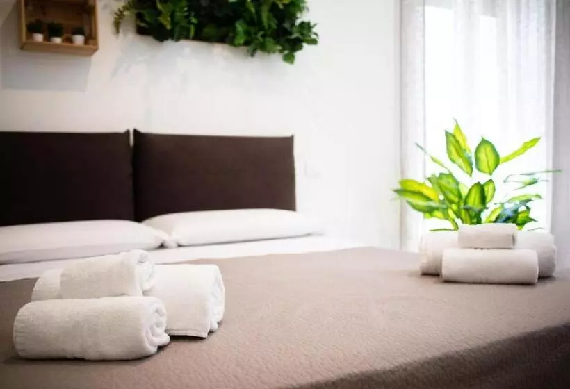 پانسیون Suebi Rooms