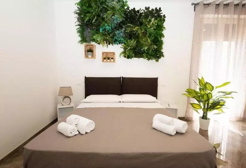 پانسیون Suebi Rooms