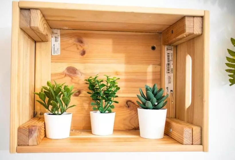 پانسیون Suebi Rooms