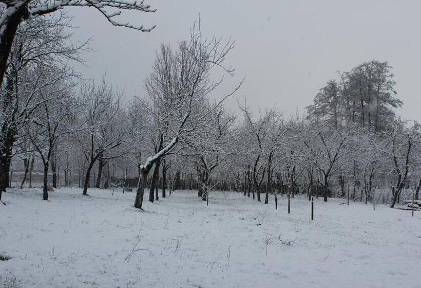 Pensiunea Casa Noastra