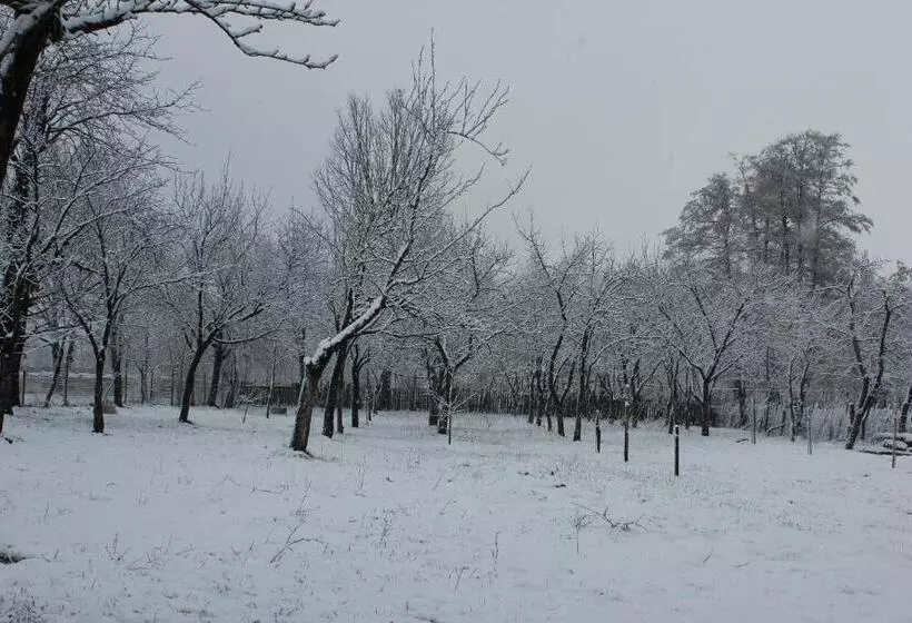 Pensiunea Casa Noastra