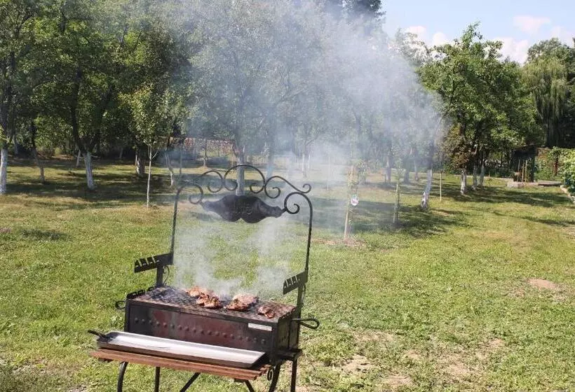 Pensiunea Casa Noastra