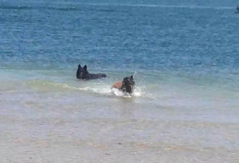 Pet Friendly Home With Pool And Boat Parking