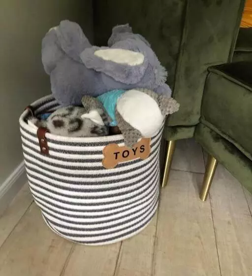 Pet Friendly Home With Pool And Boat Parking