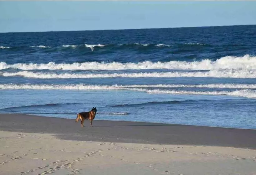 Pet Friendly Home With Pool And Boat Parking