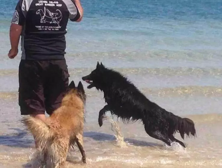 Pet Friendly Home With Pool And Boat Parking