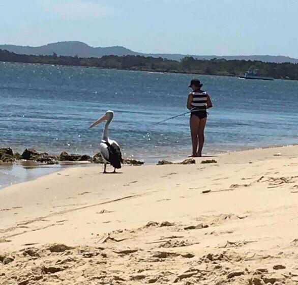 Pet Friendly Home With Pool And Boat Parking