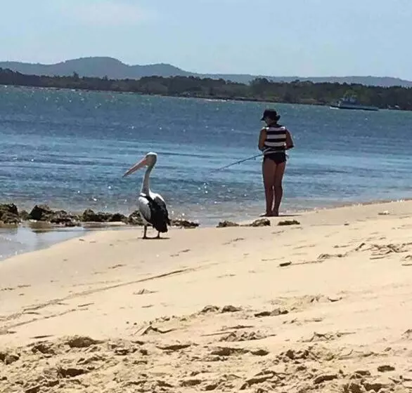 Pet Friendly Home With Pool And Boat Parking