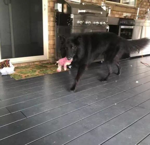 Pet Friendly Home With Pool And Boat Parking