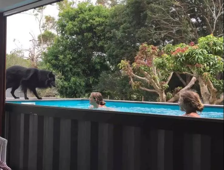 Pet Friendly Home With Pool And Boat Parking