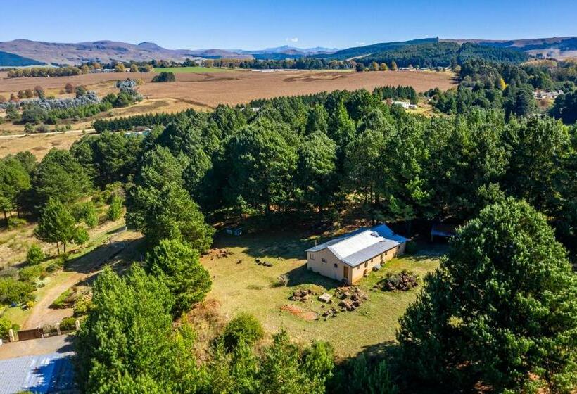 Bed and Breakfast Falling Waters