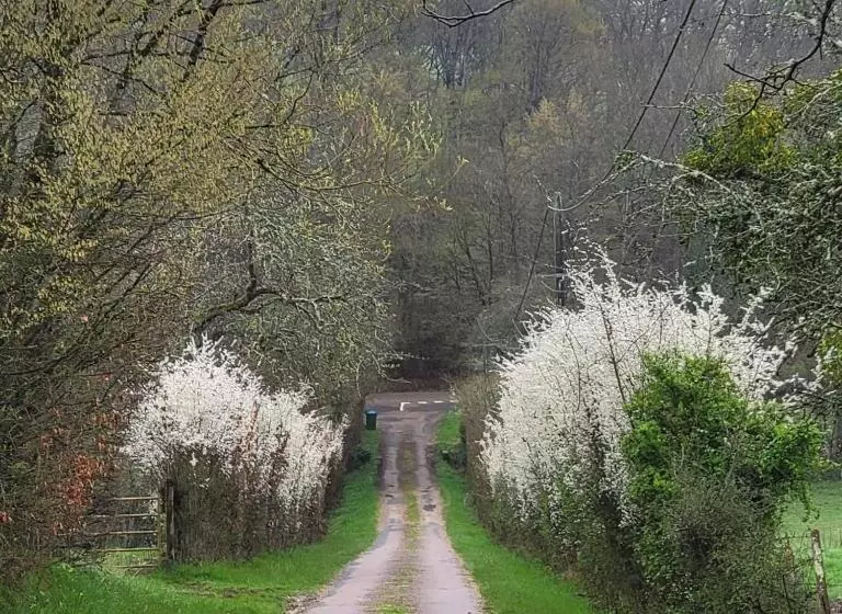 Aamiaismajoitus (B&B) Ferme équestre & Chambres D Hôtes Gateau Stables Proche Guédelon