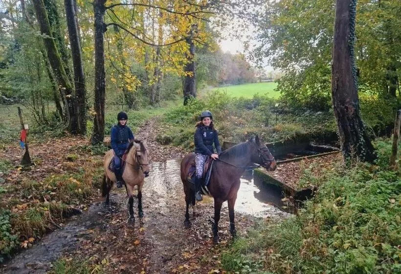 Aamiaismajoitus (B&B) Ferme équestre & Chambres D Hôtes Gateau Stables Proche Guédelon