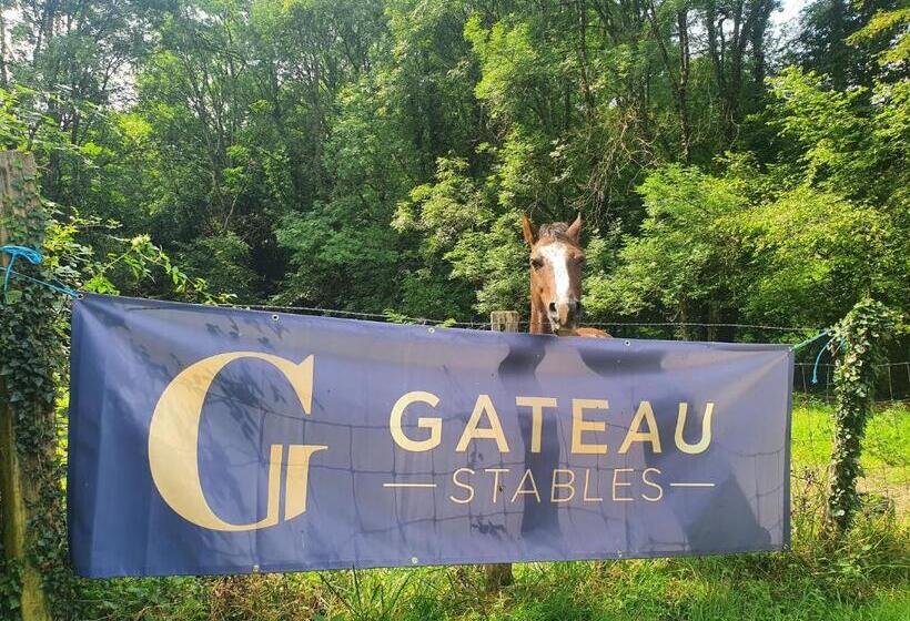 צימר Ferme équestre & Chambres D Hôtes Gateau Stables Proche Guédelon