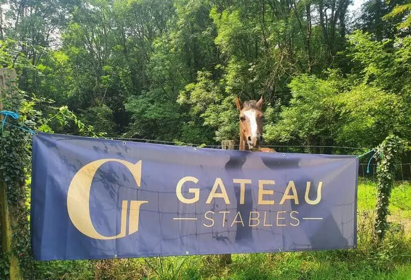 Aamiaismajoitus (B&B) Ferme équestre & Chambres D Hôtes Gateau Stables Proche Guédelon