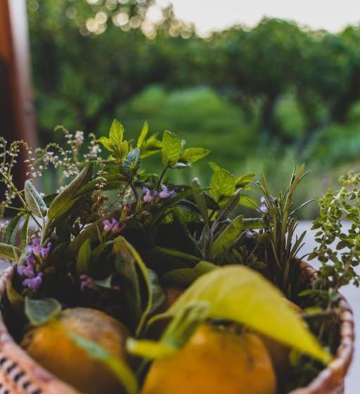 צימר Il Limoneto Rooms