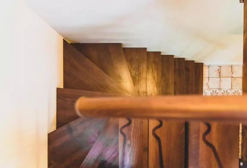 تختخواب و صبحانه Il Limoneto Rooms