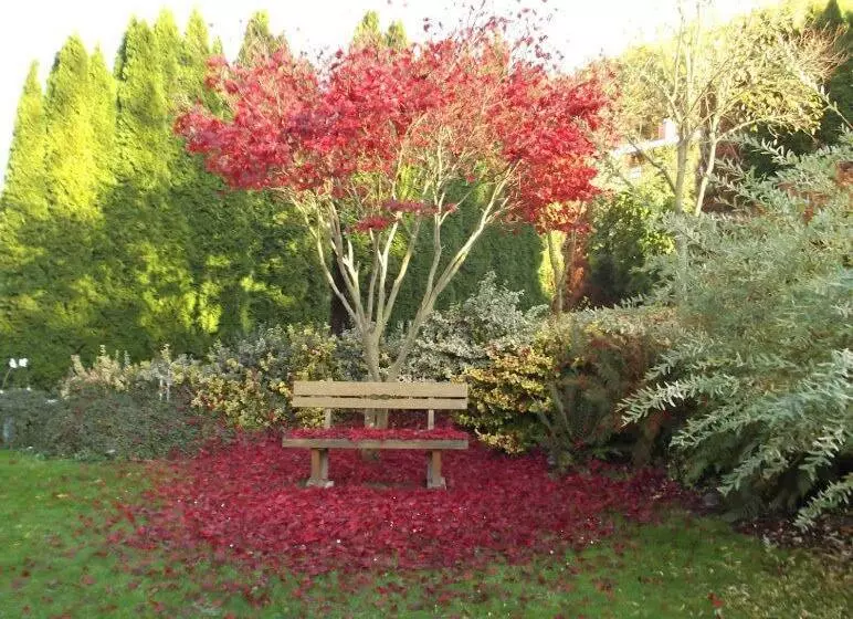 Ferienwohnung Schmidt Werratal