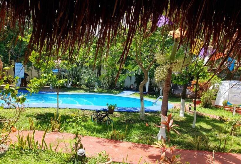 호텔 Cabañas Colibrí