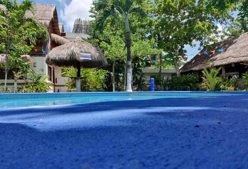 호텔 Cabañas Colibrí