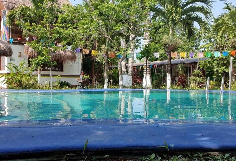 호텔 Cabañas Colibrí