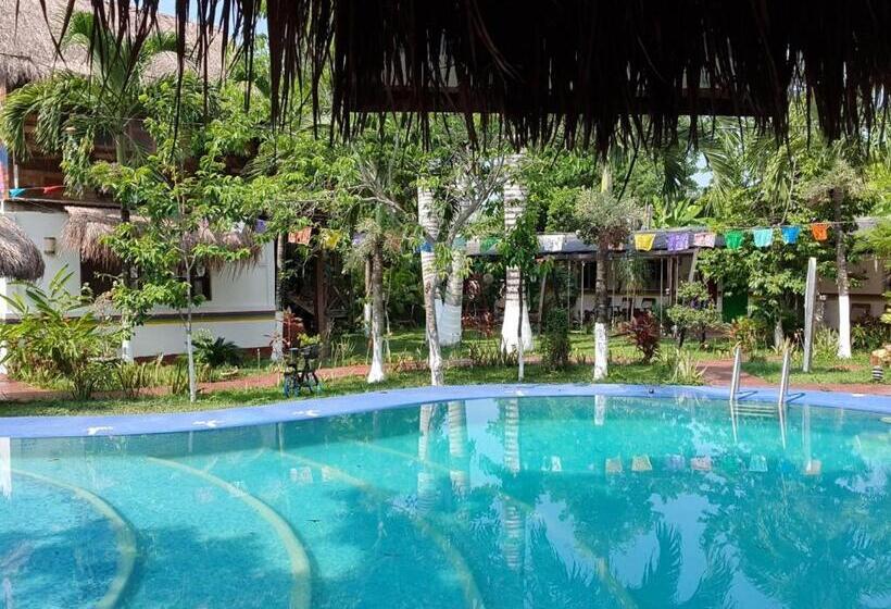 호텔 Cabañas Colibrí