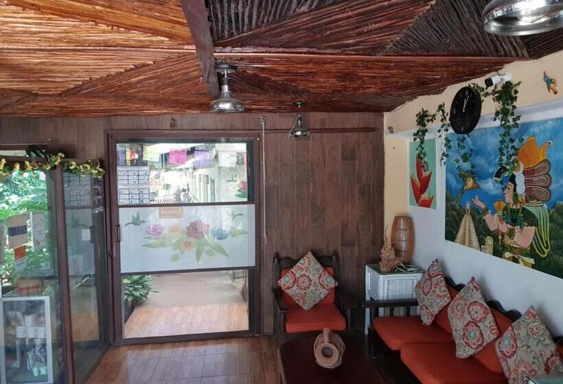 호텔 Cabañas Colibrí