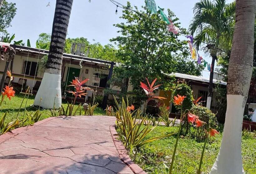 호텔 Cabañas Colibrí