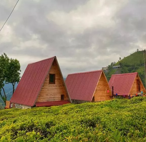 ホテル Serintepe Bungalov