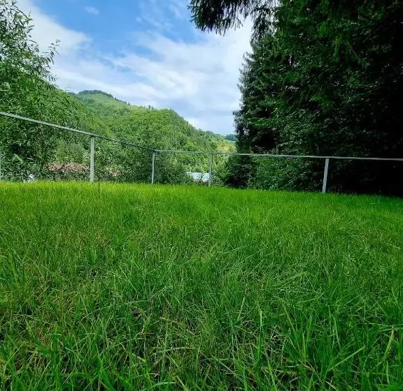 ペンション Căbănuța Cocoțată