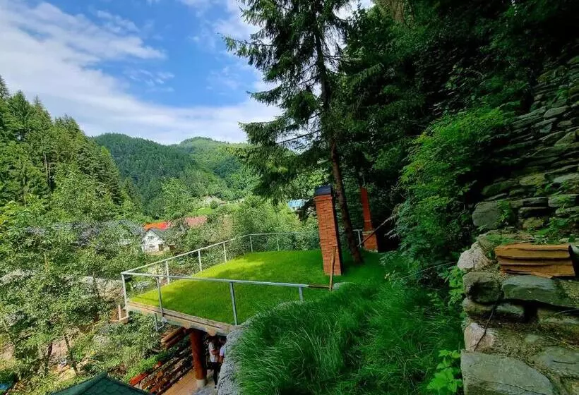 ペンション Căbănuța Cocoțată