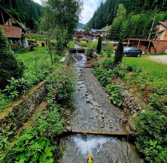 ペンション Căbănuța Cocoțată