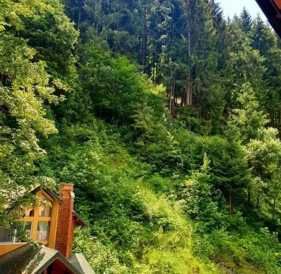 ペンション Căbănuța Cocoțată