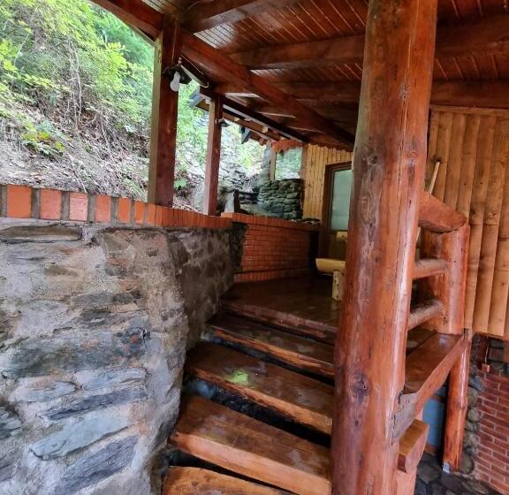 ペンション Căbănuța Cocoțată